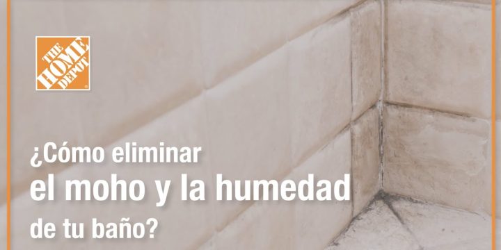 Soluciones Efectivas para Baños con Humedad