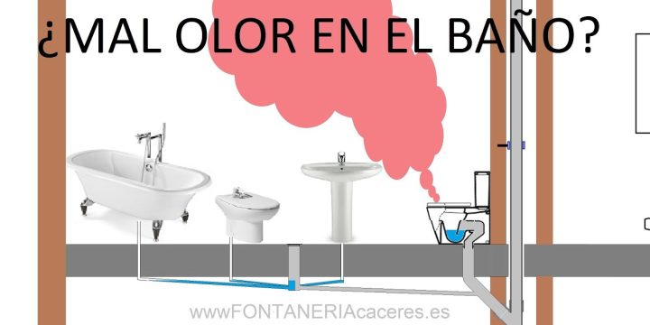 Consejos Efectivos para Evitar Malos Olores en el Baño