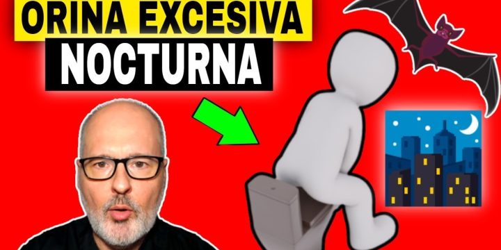 Soluciones Efectivas para Fugas Nocturnas en Baños
