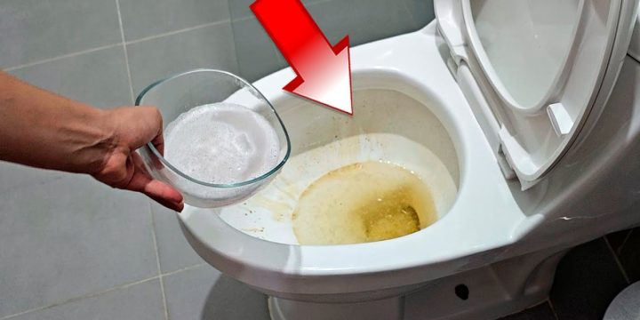 Trucos Efectivos para Limpiar el WC